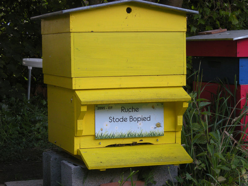 La ruche Stode Bopied